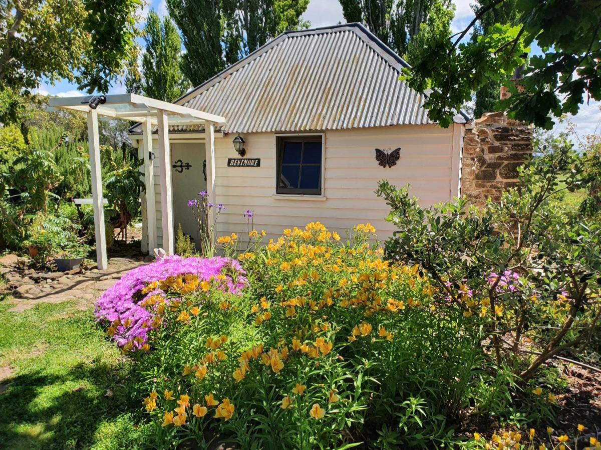 Belmont Homestead Country house